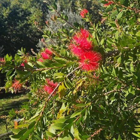 Quinta Do Convento Holiday home Pedrogao Grande
