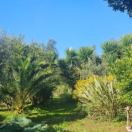 Holiday home Quinta Do Convento Pedrogao Grande
