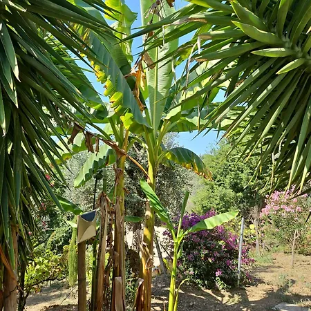 Quinta Do Convento Pedrogao Grande