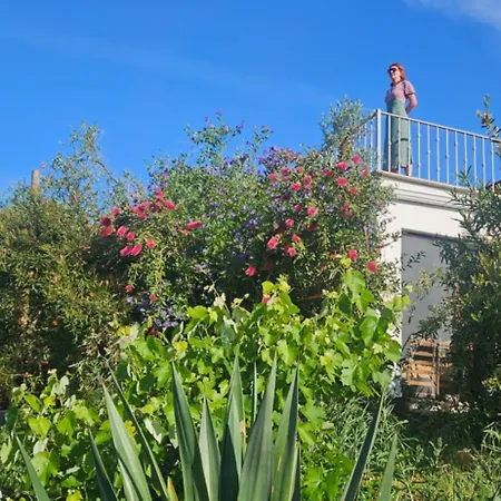 Quinta Do Convento * Pedrogao Grande